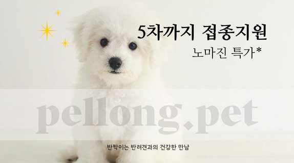 고민없는 선택 펠롱펫!!!